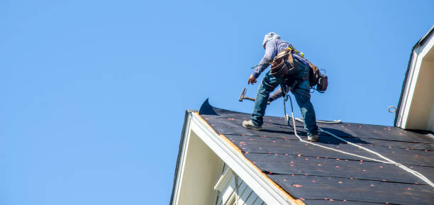 Best New Roof Installation  in Taylors Falls, MN